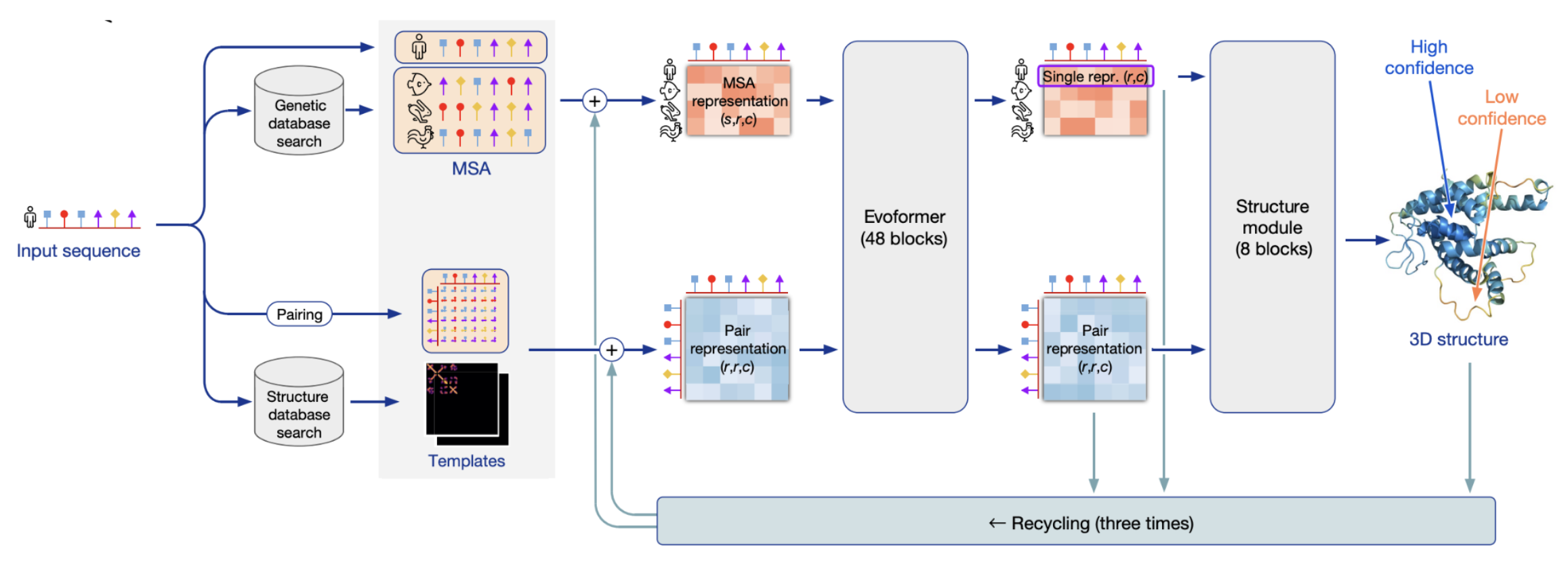 AlphaFold's specialized architecture
