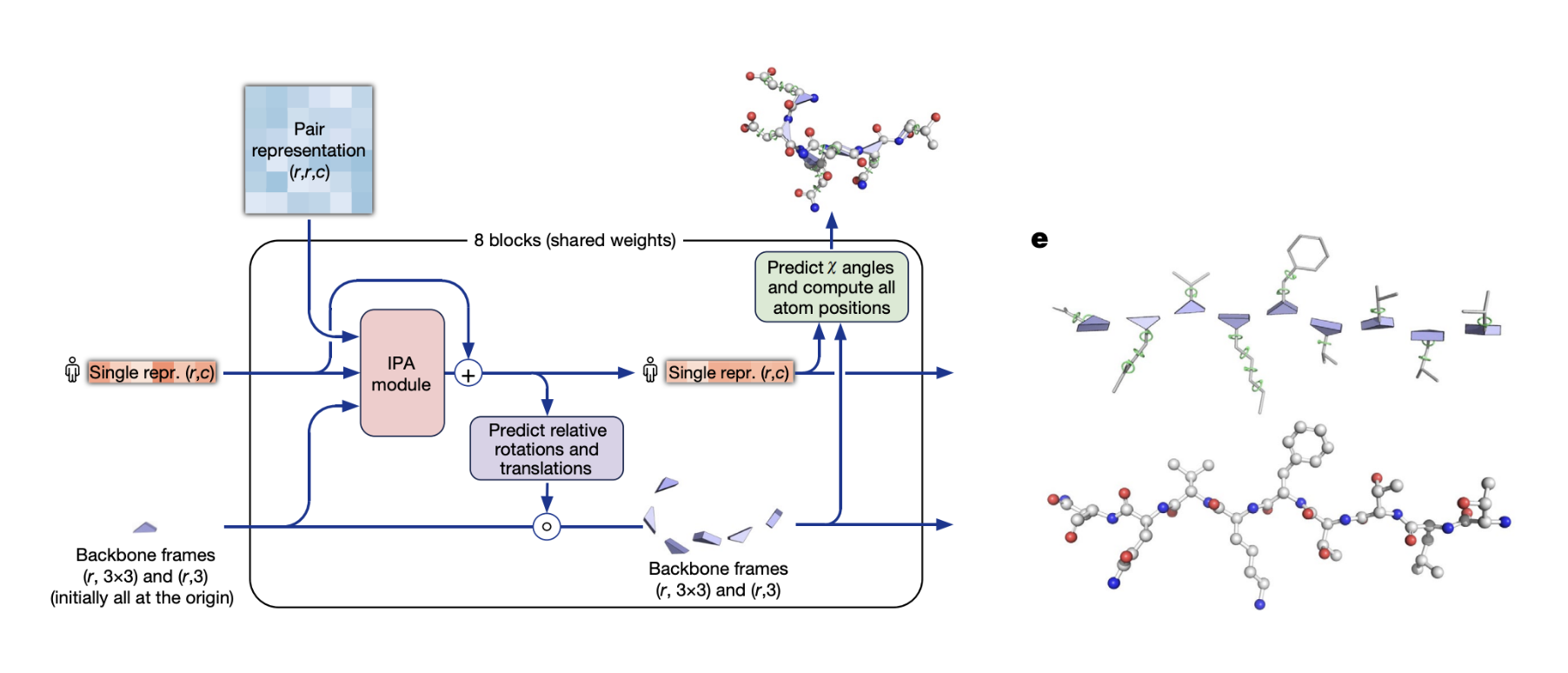 AlphaFold's output representation